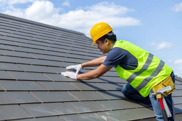 Best Roof Insulation Installation  in Evans City, PA