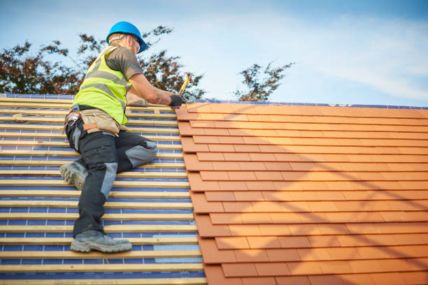 Best Roofing for New Construction  in Evans City, PA